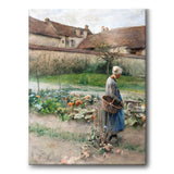 October - Canvas