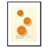 Oransje