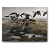 Wildgeese Settling - Canvas