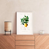 Citron