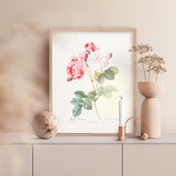 Roses