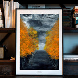 The Avenue - Poster