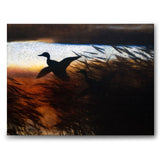 Summer Night Ducks Lifting - Canvas