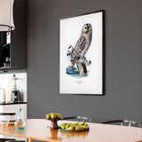 Ural Owl