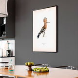 Eurasian Hoopoe