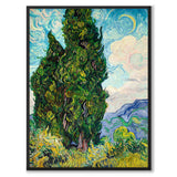 Cypresses