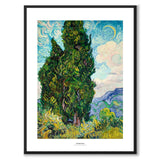 Cypresses