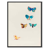 Five Butterflies - Poster