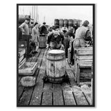 Salted Herring