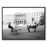 The Royal Palace, Oslo