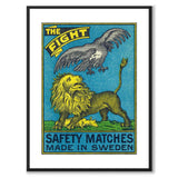 The Fight
