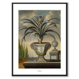 Ananas - Poster