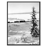 Winter Wonderland