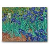 Irises