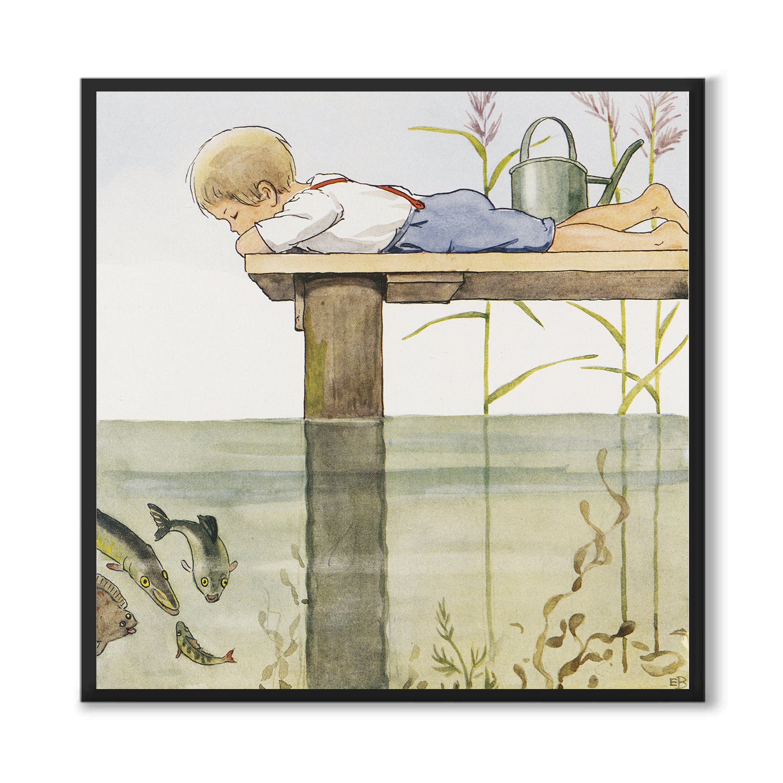 Den Nyfikna Abborren