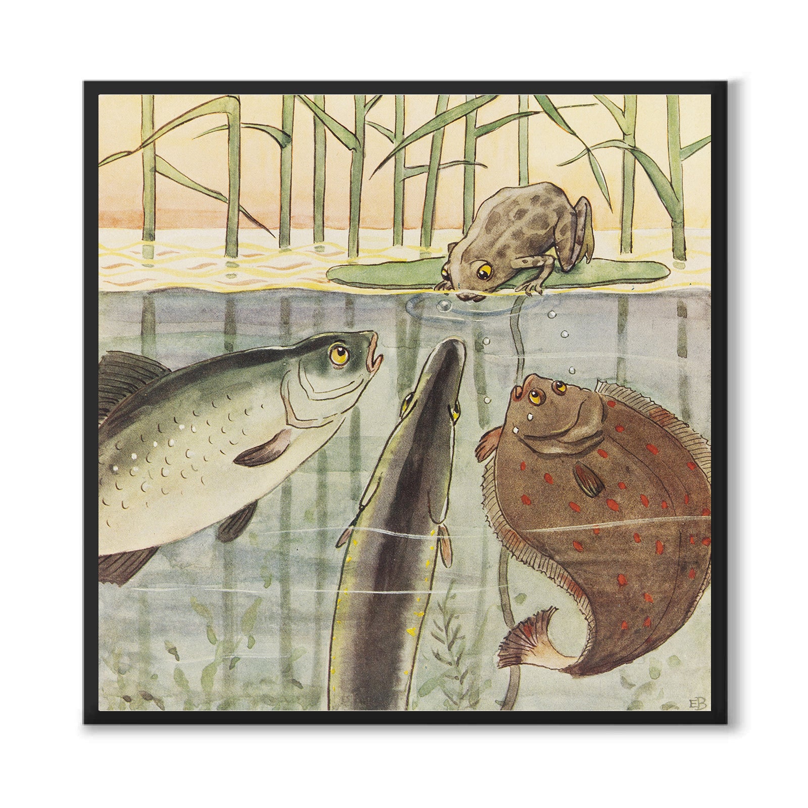 Den Nyfikna Abborren