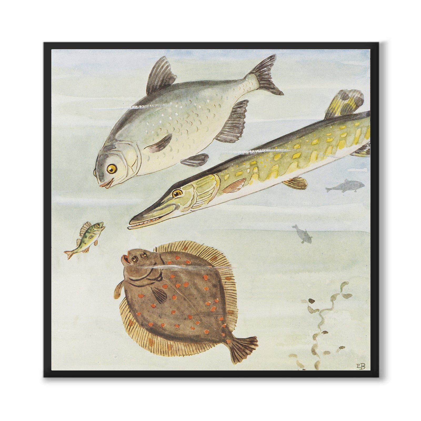 Den Nyfikna Abborren