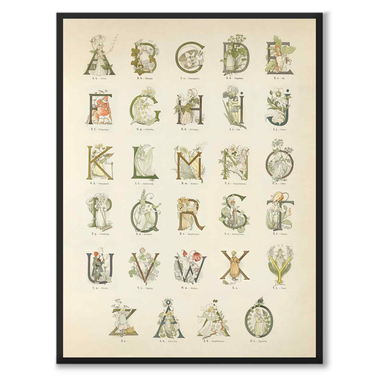 The Floral Alphabet & Floral Numbers 