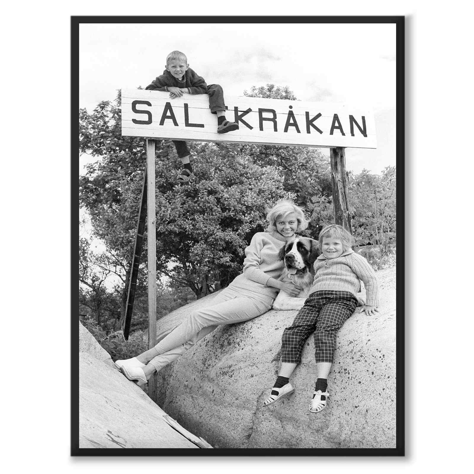Saltkråkan