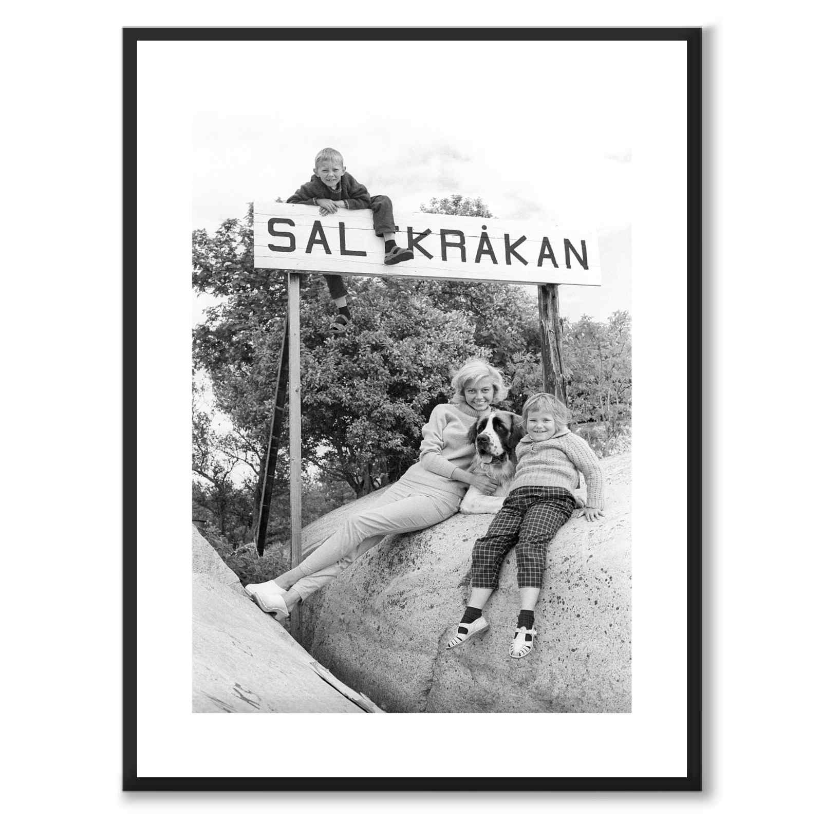 Saltkråkan