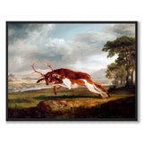 Hound Coursing a Stag