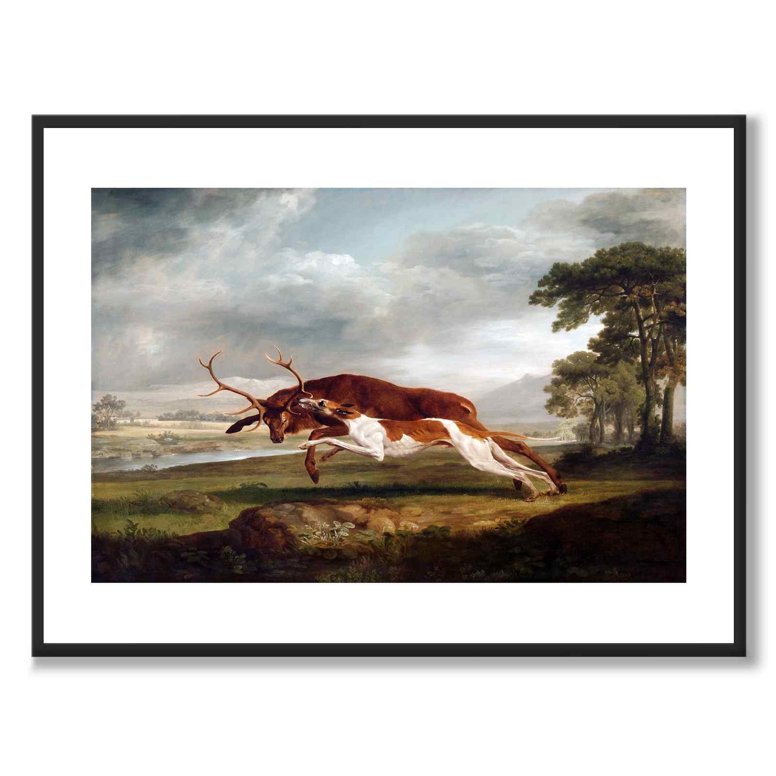 Hound Coursing a Stag