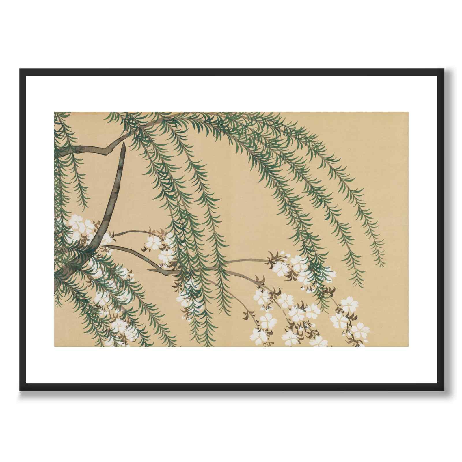 Willow and Cherry som japansk poster - vit kant