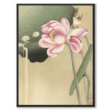 Songbird and Lotus som japansk poster - helbild