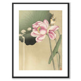Songbird and Lotus som japansk poster - vit kant