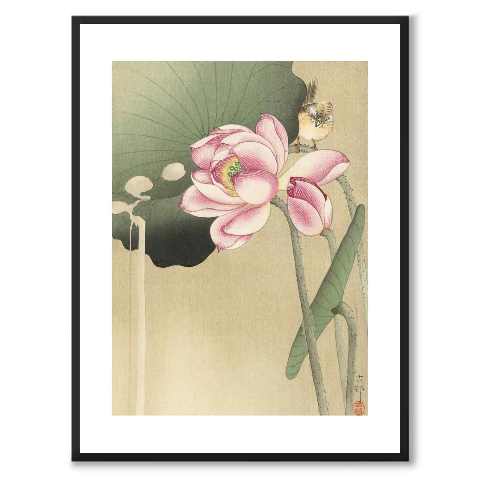 Songbird and Lotus som japansk poster - vit kant