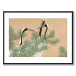 Cranes som japansk poster - vit kant