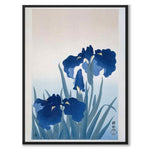 Irises som japansk poster - helbild