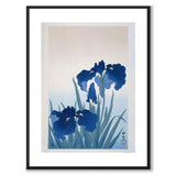 Irises som japansk poster - vit kant