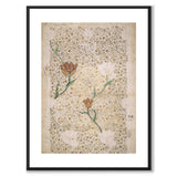 Garden Tulip av William Morris som poster – vit kant