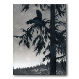 Capercaillie Playing - Canvas 