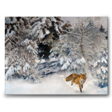 Fox in Winter Landscape - Canvas