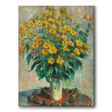 Jerusalem Artichoke Flowers - Canvas