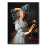 Marie Antoinette - Lerret 