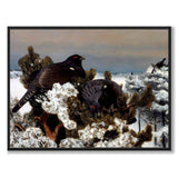 Capercaillies in a Winter Landscape - Plakat 