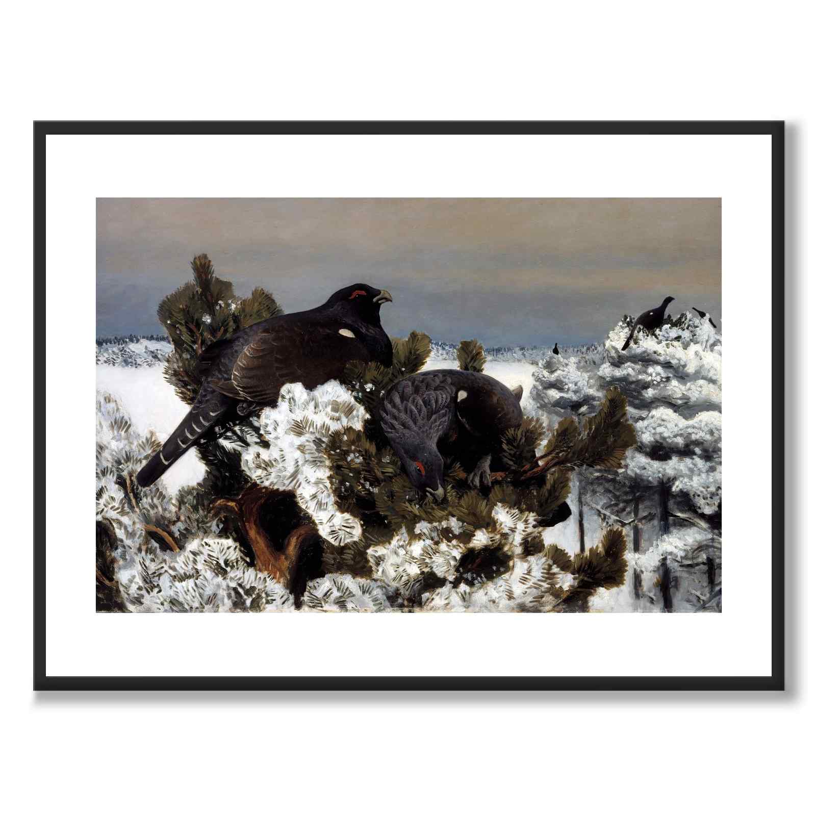 Capercaillies in a Winter Landscape - Plakat 