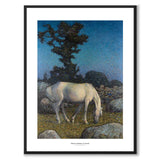 Hvit hest i skumringen - Plakat 