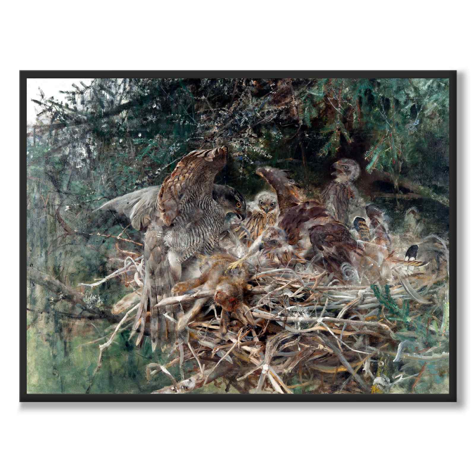 Hawk's nest - Plakat 