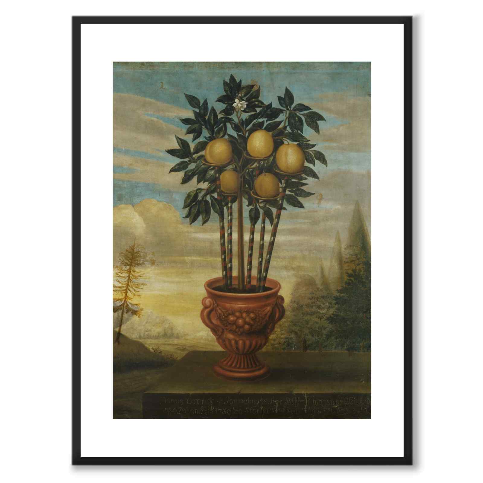 Orange tree in an urn - Poster