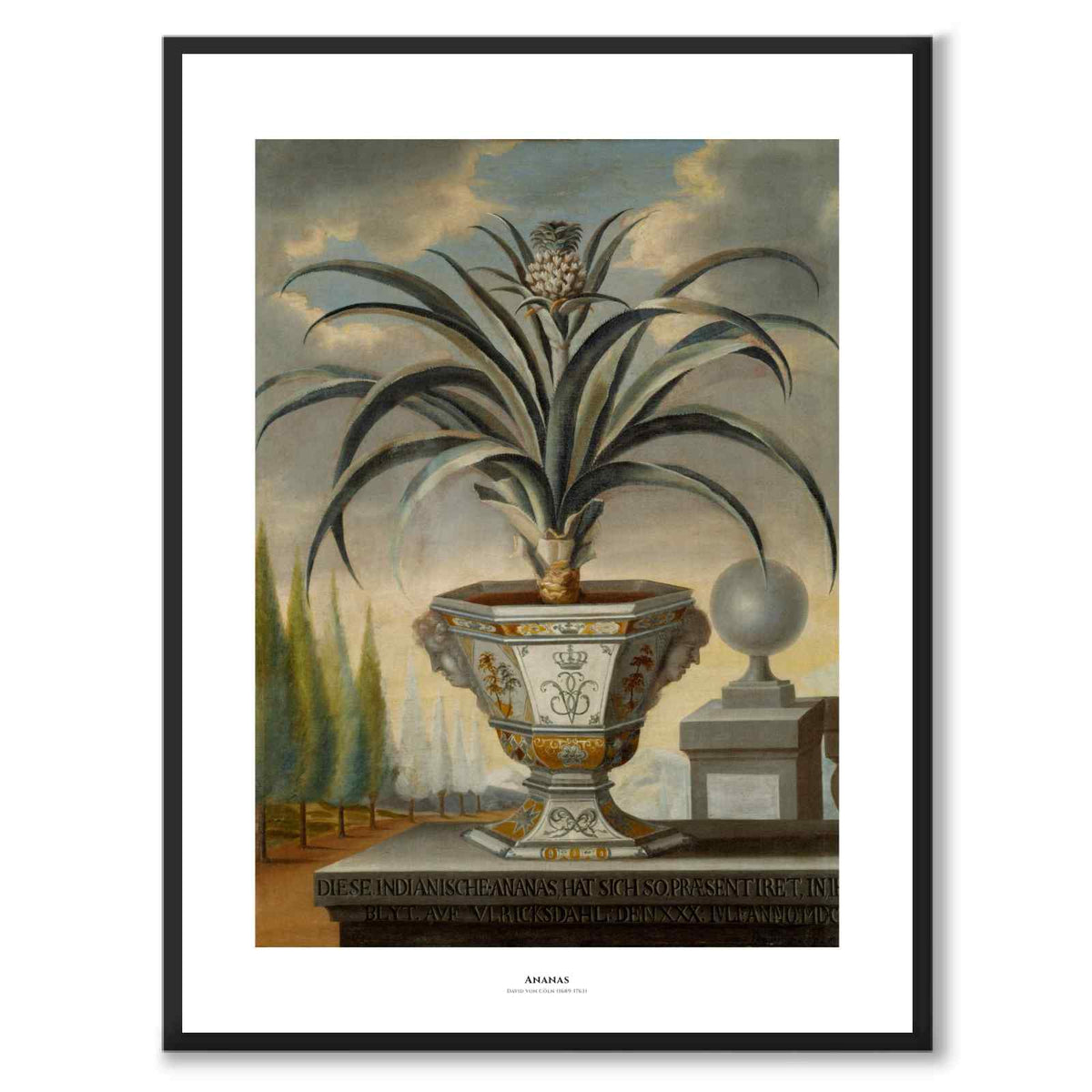 Ananas 