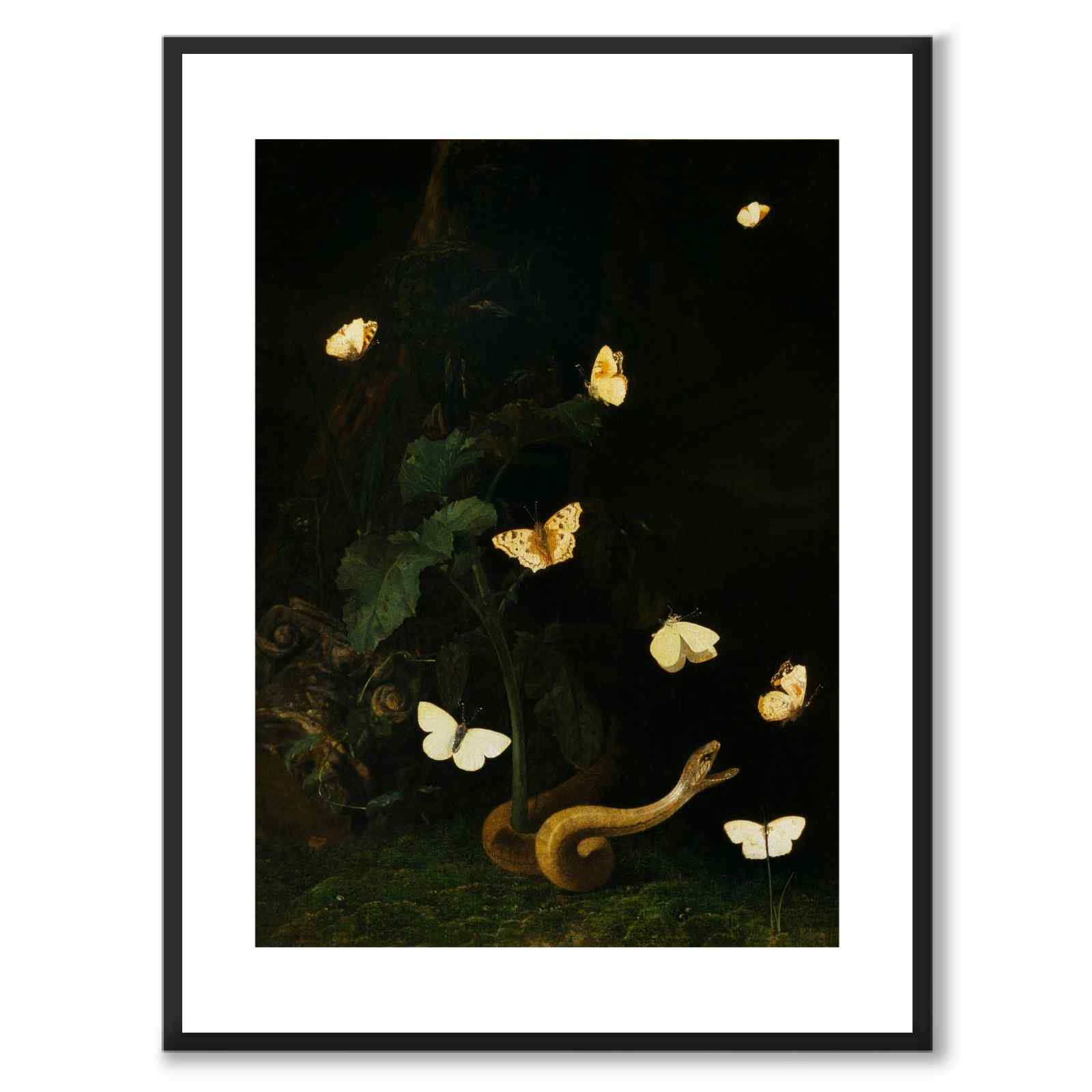 Urter, sommerfugler og en slange - Plakat 